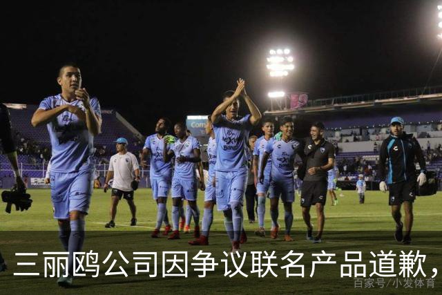 三丽鸥公司因争议联名产品道歉，探讨其在华市场策略与国际舆论影响