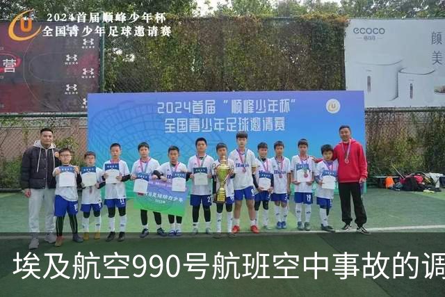 埃及航空990号航班空中事故的调查与分析