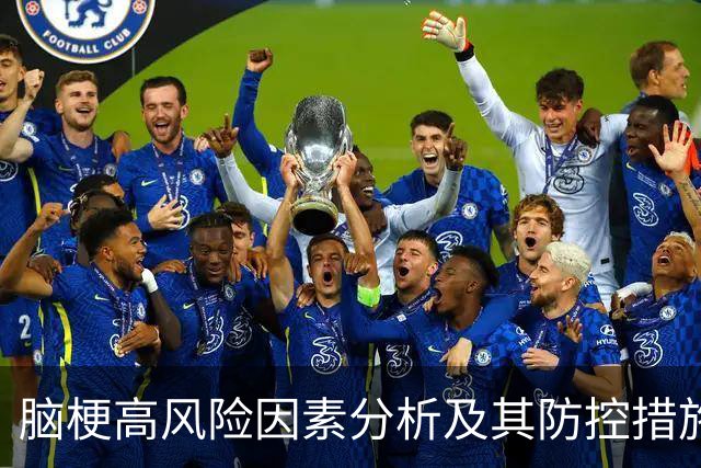 脑梗高风险因素分析及其防控措施